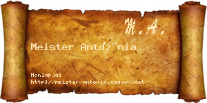 Meister Antónia névjegykártya