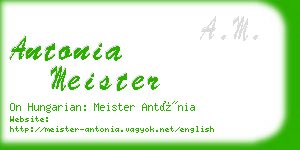 antonia meister business card